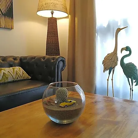 Magma